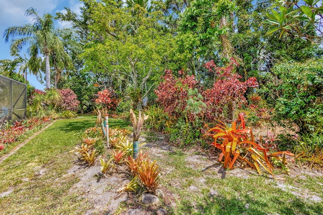 2101 SE Harlow St, Port Saint Lucie, FL 34952 - view of yard with glass enclosure