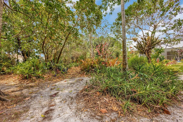 2101 SE Harlow St, Port Saint Lucie, FL 34952 - view of yard