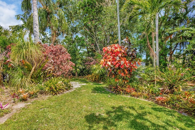2101 SE Harlow St, Port Saint Lucie, FL 34952 - view of yard