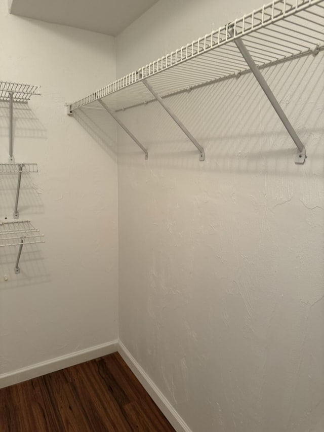 walk in closet featuring dark wood-style flooring