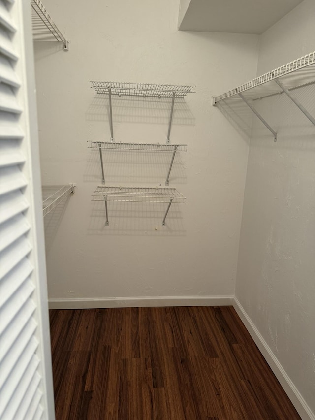 spacious closet featuring wood finished floors