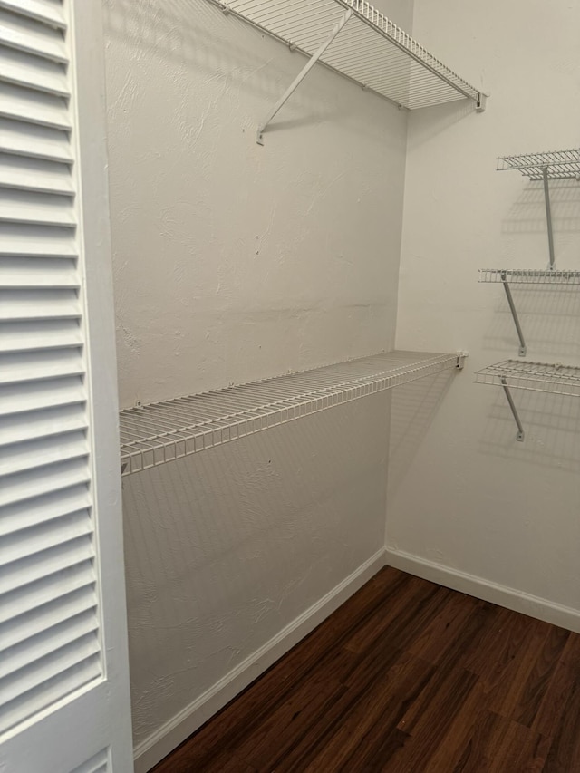 walk in closet featuring dark wood finished floors