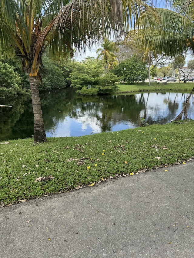 view of water feature