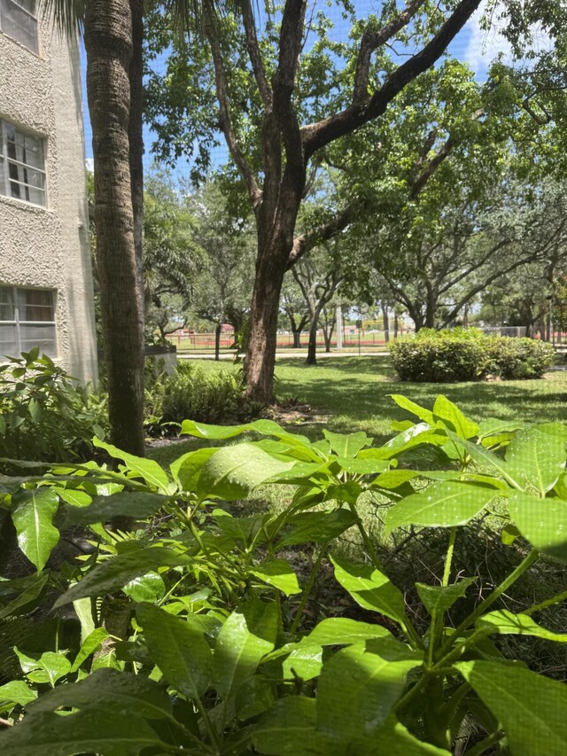 1681 NW 70th Ave Unit 102, Plantation, FL 33313 - view of yard