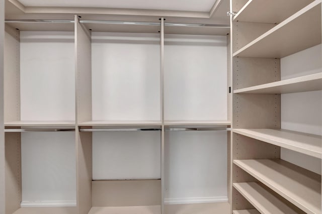 view of walk in closet