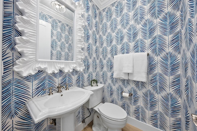 17065 Bay St, Jupiter, FL 33477 - half bathroom with toilet and wallpapered walls