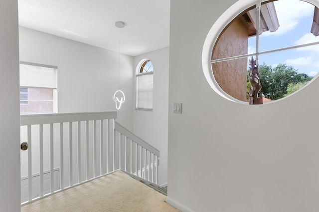 9927 Seacrest Cir Unit 202, Boynton Beach, FL 33437 - stairs with carpet flooring