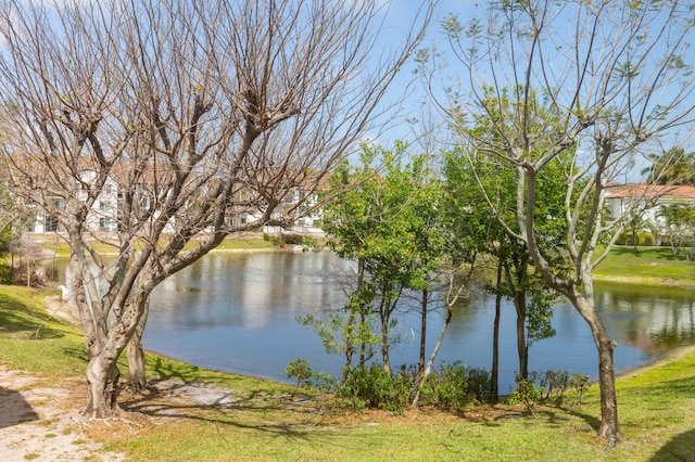view of water feature