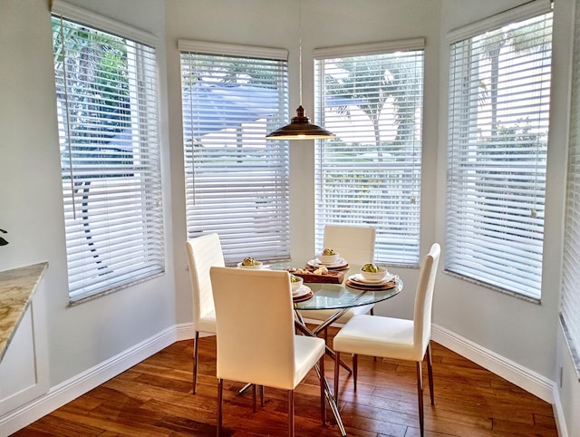 dining room featuring baseboards and wood finished floors