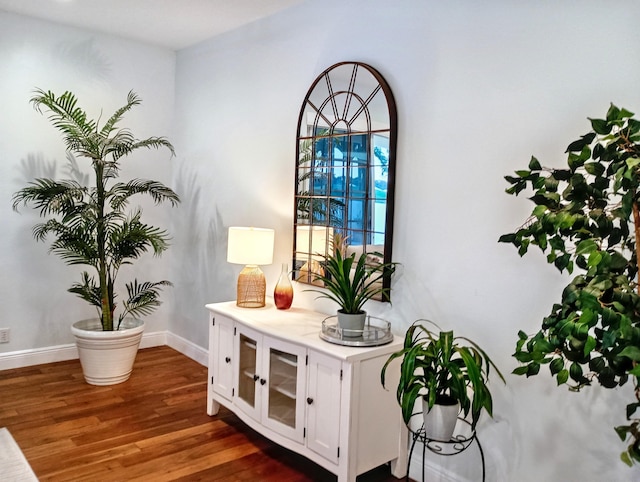 room details featuring baseboards and wood finished floors