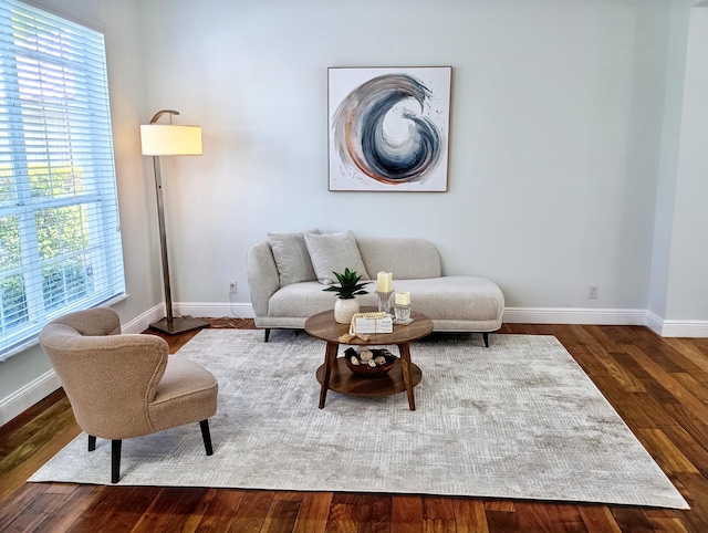 living area featuring baseboards, plenty of natural light, and wood finished floors