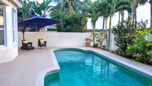 view of pool with a fenced in pool and fence