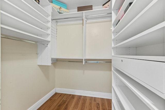 walk in closet featuring dark wood finished floors