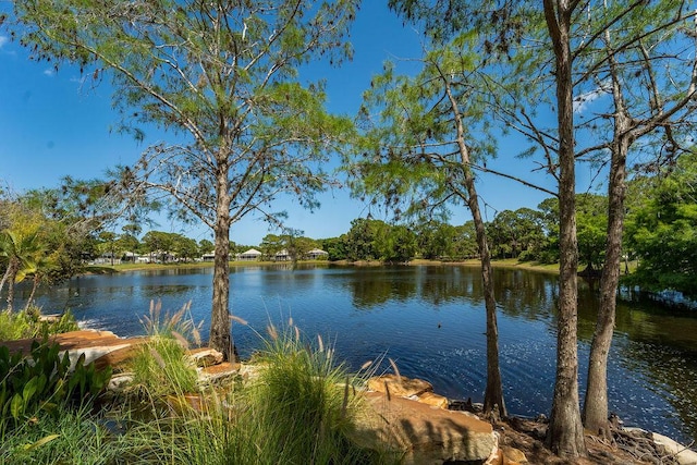 5166 SE Inkwood Way, Hobe Sound, FL 33455 - view of water feature