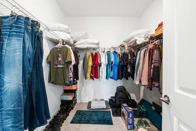 1218 Timber Reap Trl, The Acreage, FL 33470 - spacious closet featuring carpet flooring