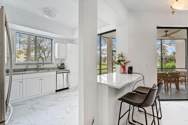 kitchen with marble finish floor, a sink, plenty of natural light, and stainless steel appliances