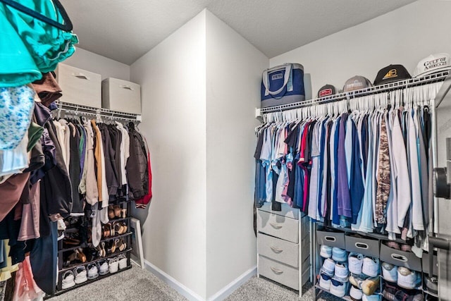 5612 Mentmore Dr, West Palm Beach, FL 33407 - walk in closet with carpet