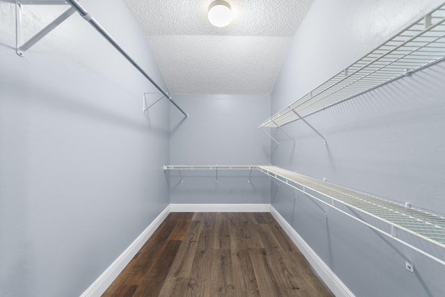 walk in closet featuring dark wood finished floors