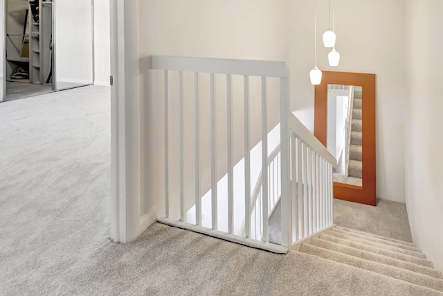 staircase featuring carpet floors