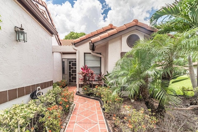 entrance to property featuring a tiled roof and stucco siding