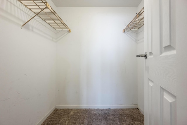 336 Golfview Rd Unit 916, North Palm Beach, FL 33408 - walk in closet with carpet flooring
