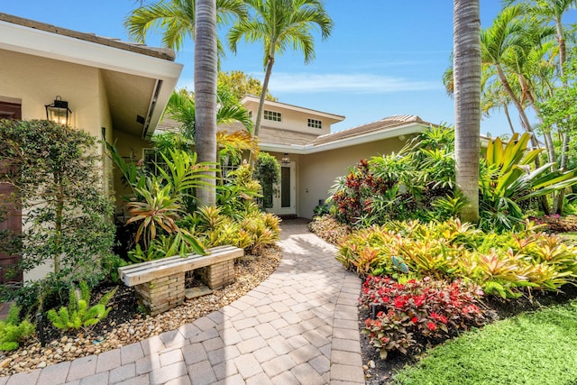 entrance to property featuring stucco siding