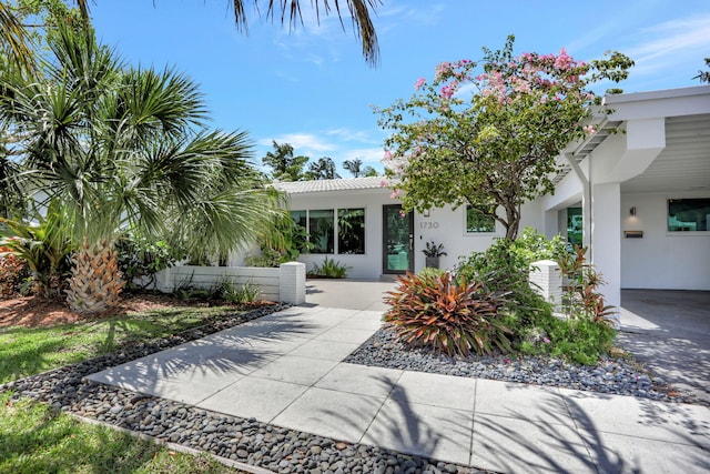 view of front of property featuring stucco siding