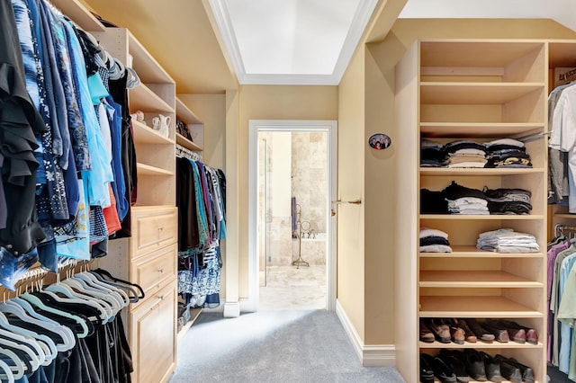1485 Bear Island Dr, West Palm Beach, FL 33409 - walk in closet with carpet