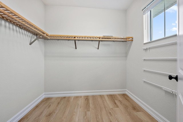 4770 SW Ardsley Dr, Stuart, FL 34997 - walk in closet featuring light wood-type flooring