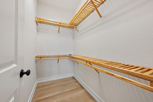 4770 SW Ardsley Dr, Stuart, FL 34997 - walk in closet featuring light wood-type flooring