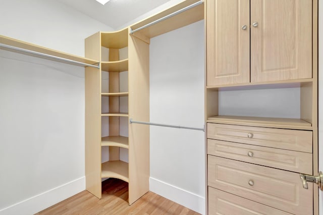 spacious closet featuring light wood finished floors