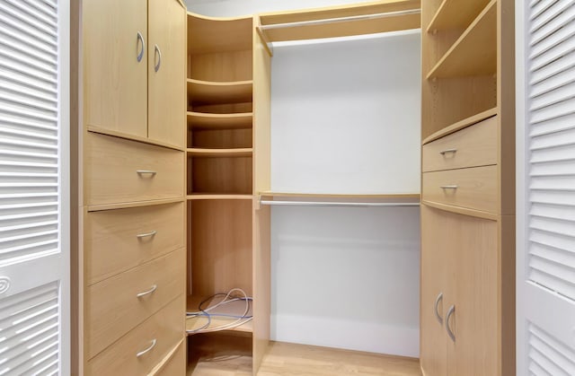 walk in closet featuring wood finished floors