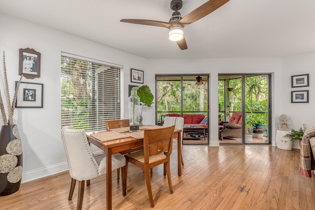 dining space featuring ceiling fan, light wood-style floors, and plenty of natural light