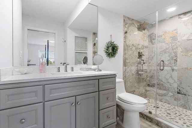 bathroom with toilet, a shower stall, and vanity