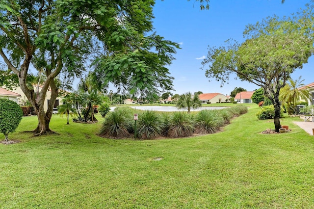 6092 Caladium Rd, Delray Beach, FL 33484 - view of green lawn
