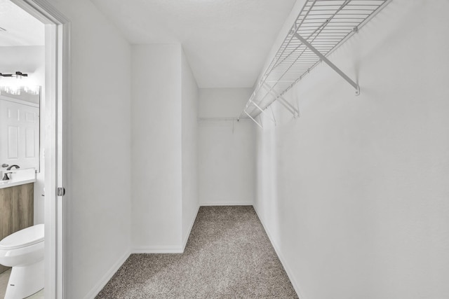 698 SW Mchole Ave, Port Saint Lucie, FL 34953 - spacious closet featuring carpet floors