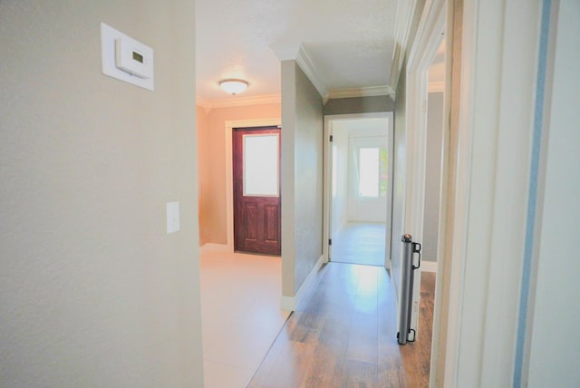 5740 Teakwood Rd, Lake Worth, FL 33467 - hall featuring light wood finished floors, baseboards, and ornamental molding