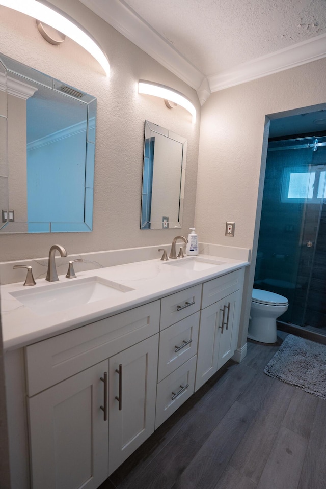 5740 Teakwood Rd, Lake Worth, FL 33467 - bathroom featuring a sink, ornamental molding, toilet, and wood finished floors