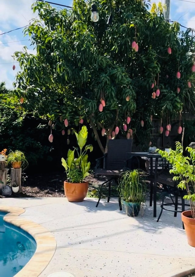 1505 Kingsley Rd, Jupiter, FL 33469 - view of swimming pool featuring a patio