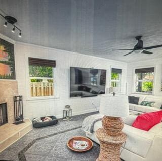 living area featuring rail lighting and a ceiling fan