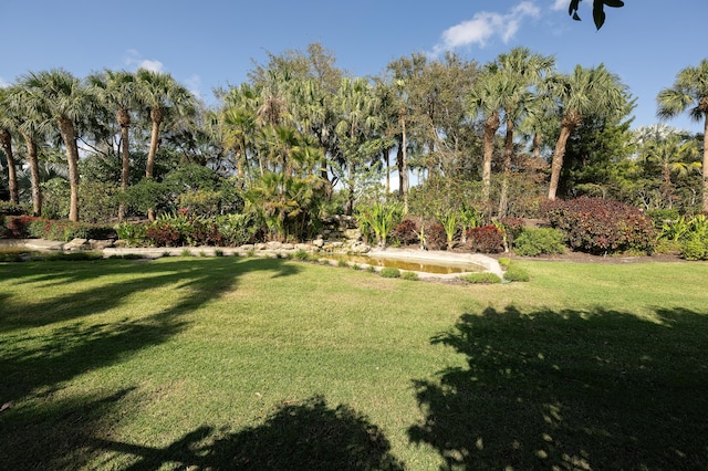 view of yard