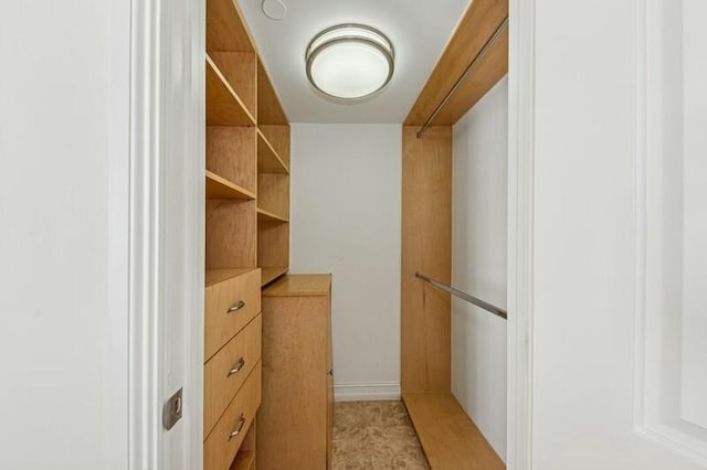 view of walk in closet