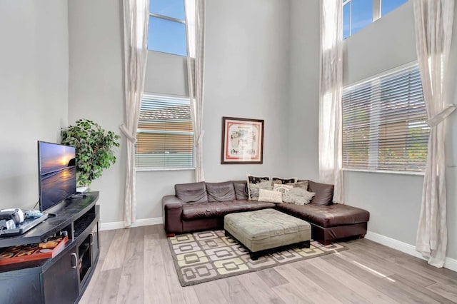 living room featuring wood finished floors, plenty of natural light, and baseboards