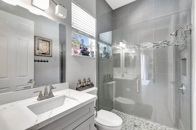 bathroom featuring a shower stall, toilet, and vanity