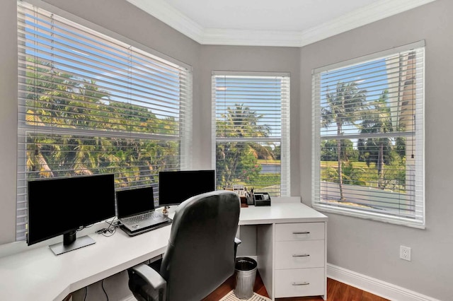 office with wood finished floors, healthy amount of natural light, baseboards, and ornamental molding