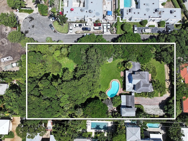 bird's eye view