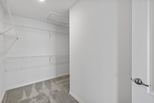 walk in closet with carpet and attic access