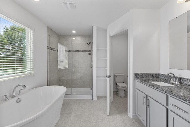 bathroom with a shower stall, plenty of natural light, vanity, and visible vents