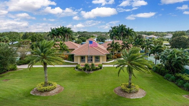 bird's eye view