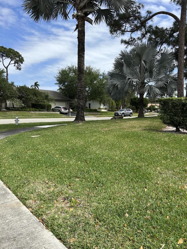 view of yard